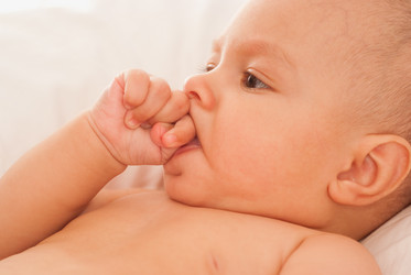 Similar image 1026122