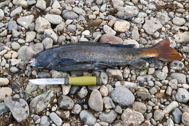 Similar image 1026206