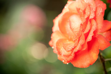 Similar image 1026226