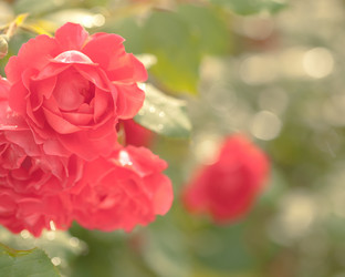 Similar image 1026227