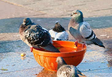 Similar image 1026249