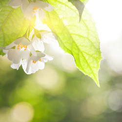 Similar image 1026263