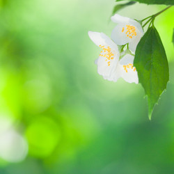 Similar image 1026270