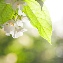 Similar image 1026279