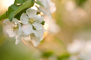 Similar image 1026287