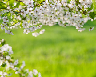 Similar image 1026318