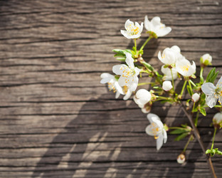 Similar image 1026328