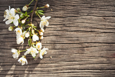 Similar image 1026331