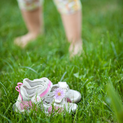 Similar image 1026335