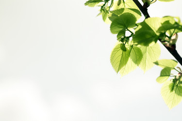 Similar image 1026340