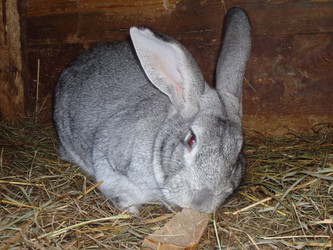 Similar image 1026385