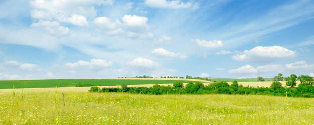 Similar image 1026518