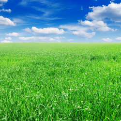 Similar image 1026531