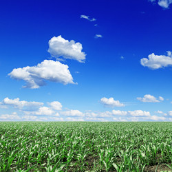 Similar image 1026533