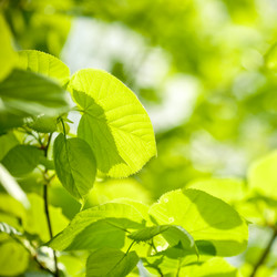 Similar image 1026536