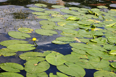 Similar image 1026541