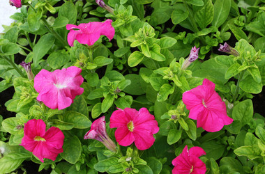 Similar image 1026542