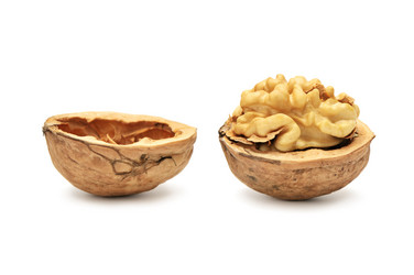 Similar image 1026564