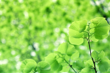 Similar image 1026593