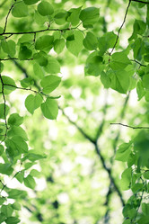 Similar image 1026607