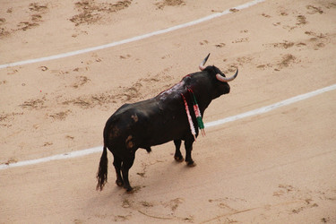 Similar image 1026662