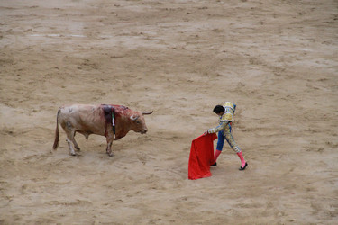 Similar image 1026668