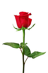 Similar image 1026691