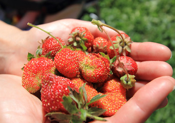 Similar image 1026782