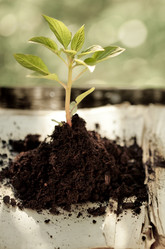 Similar image 1026834