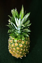 Similar image 1026857