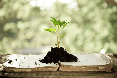 Similar image 1026859