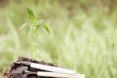 Similar image 1026883