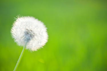 Similar image 1026924