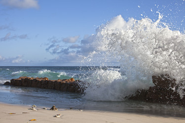 Similar image 1026927