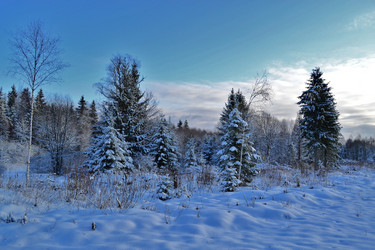 Similar image 1026933