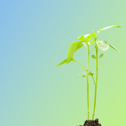 Similar image 1026937