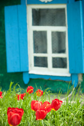 Similar image 1026946