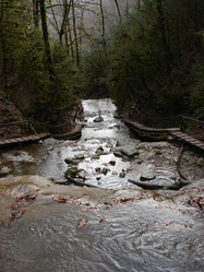 Similar image 1026994