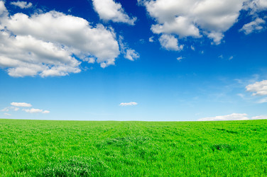 Similar image 1027133