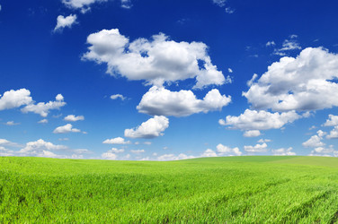 Similar image 1027136