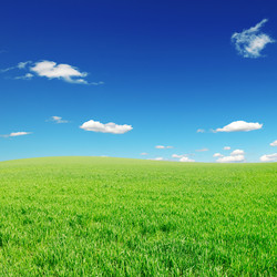 Similar image 1027138