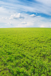 Similar image 1027143