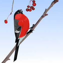 Similar image 1027150