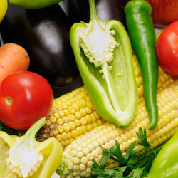 Similar image 1027158