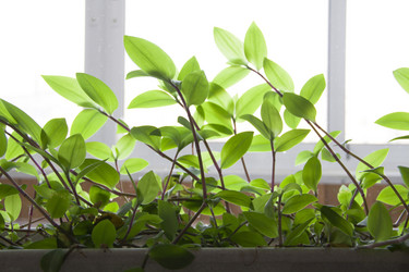 Similar image 1027166