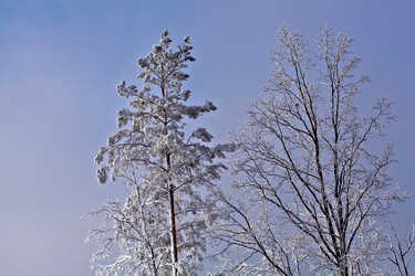 Similar image 1027168