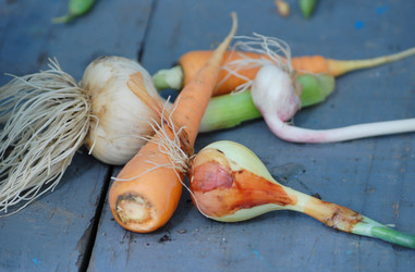 Similar image 1027200