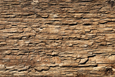 Similar image 1027205