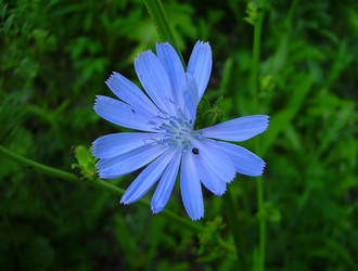 Similar image 1027234