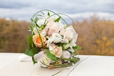 Similar image 1027248